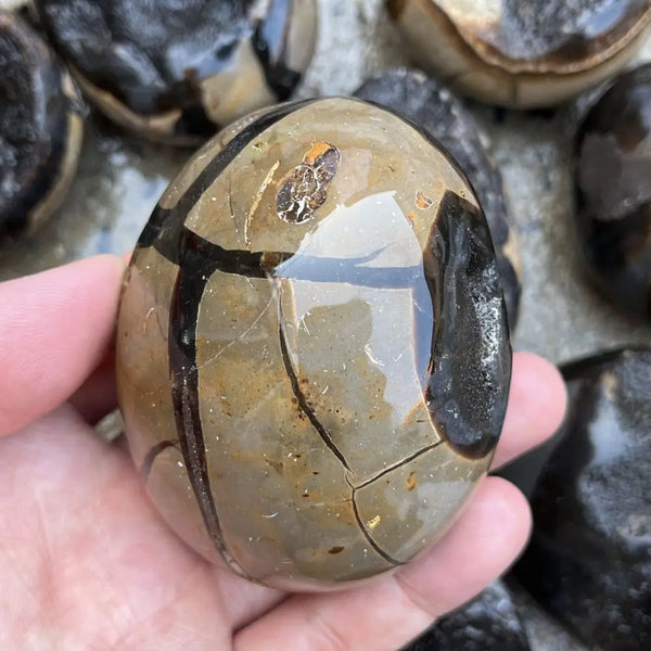Yellow Septarian Druzy Stone-ToShay.org