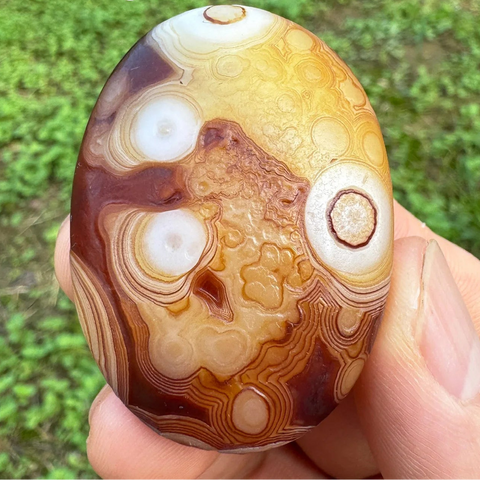 Brown Gobi Eye Agate-ToShay.org