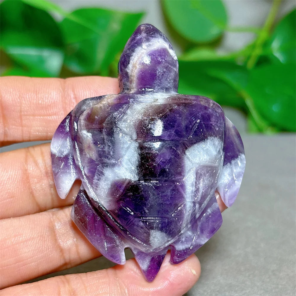 Purple Dream Amethyst Tortoise-ToShay.org