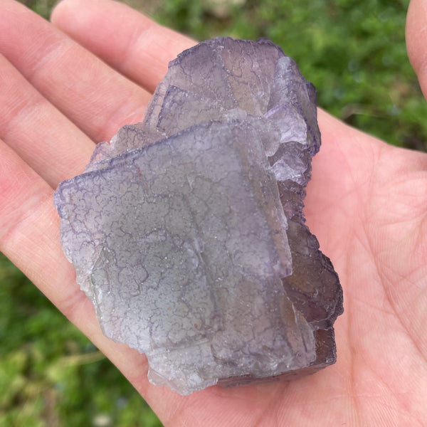 Purple Edge Fluorite-ToShay.org