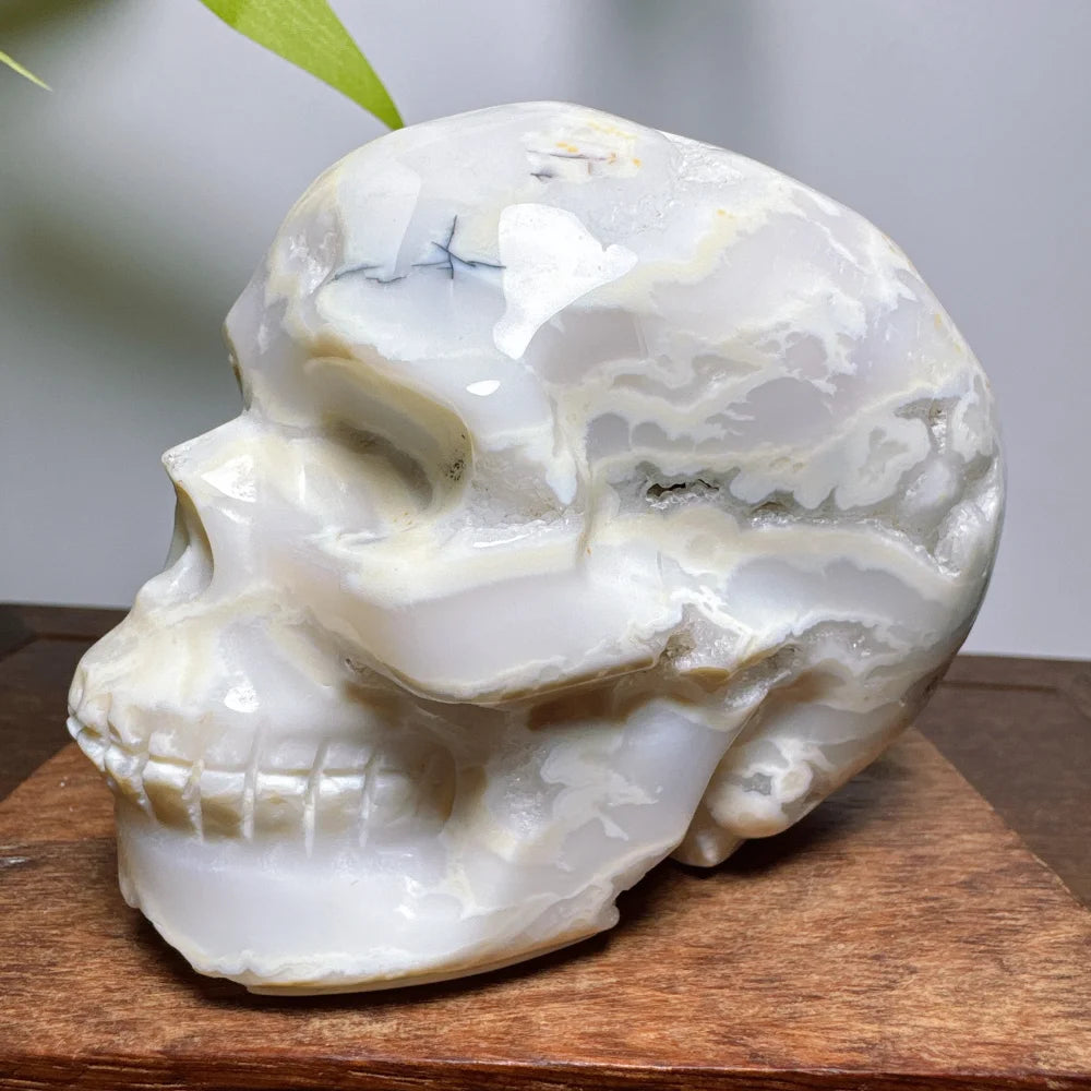 White Agate Geode Cranium Natural Stones Crystals Chakra Skulls Wicca Wichcraft Reiki Healing Gems Minerals Meditation Room-ToShay.org