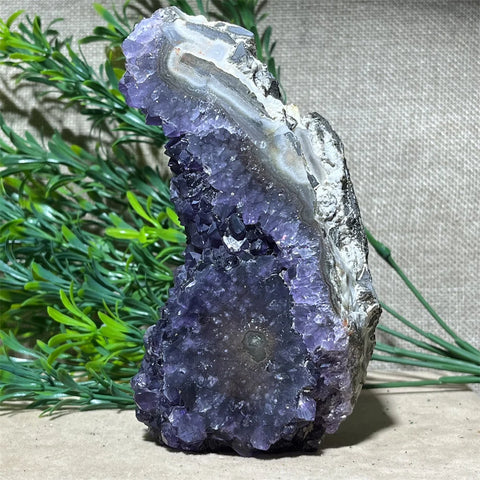 Purple Amethyst Cluster-ToShay.org