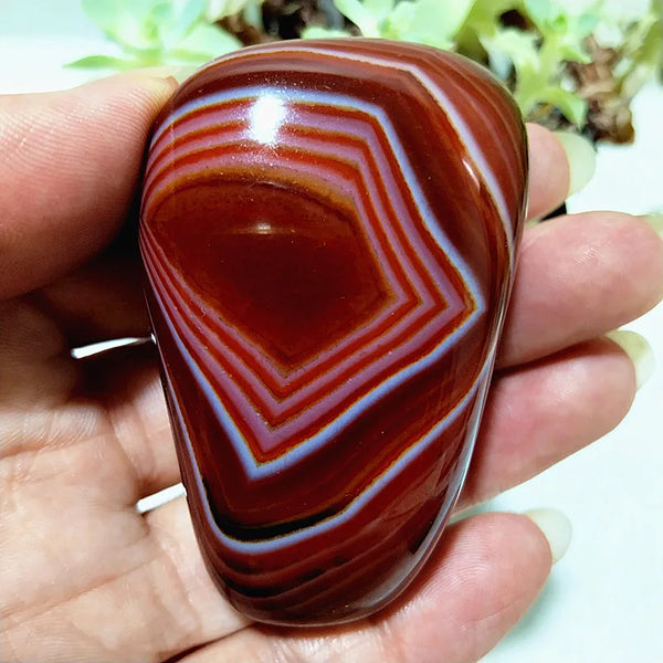 Red Lace Sardonyx Agate-ToShay.org