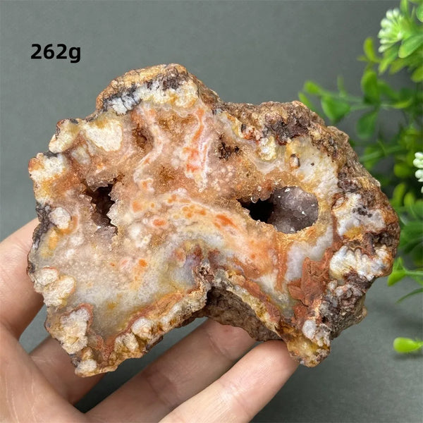 Red Cherry Blossom Agate-ToShay.org