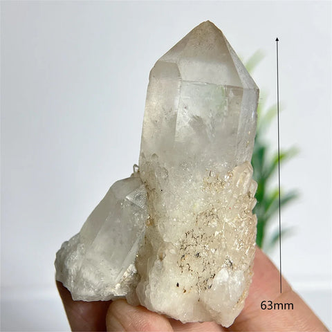 Clear Pineapple Quartz Cluster-ToShay.org