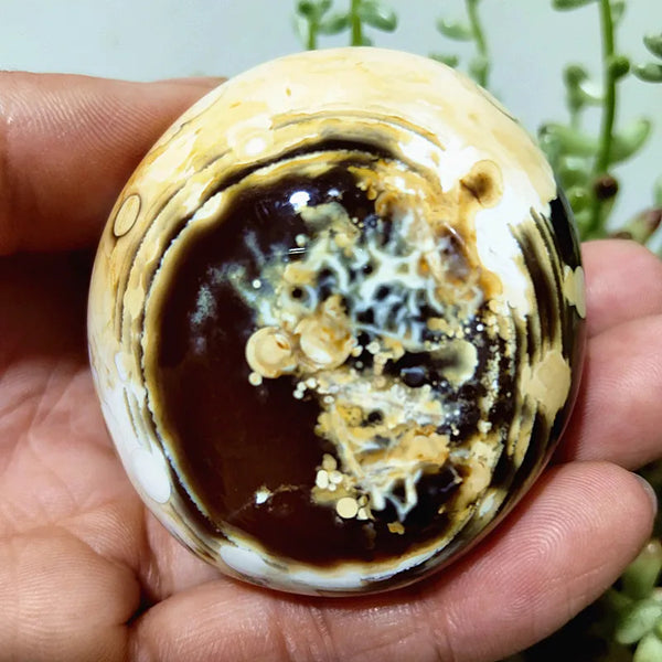 Mixed Lace Sardonyx Agate-ToShay.org