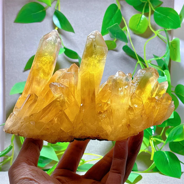 Yellow Citrine Crystal Cluster-ToShay.org