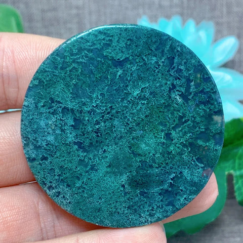 Green Moss Agate Slice-ToShay.org