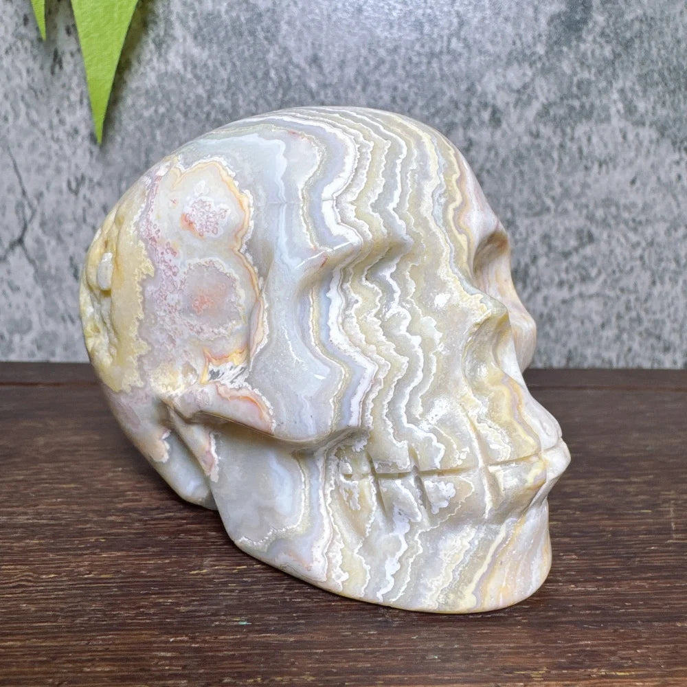 Grey Crazy Lace Agate Skull-ToShay.org