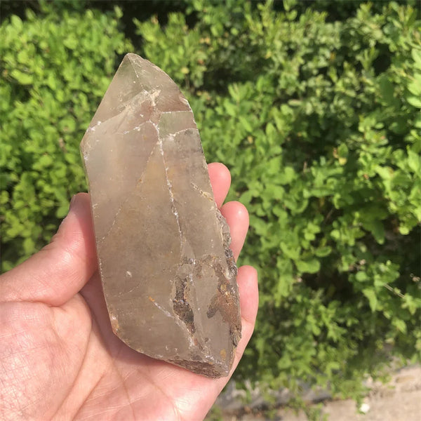 Clear Smoky Lemurian Seed-ToShay.org