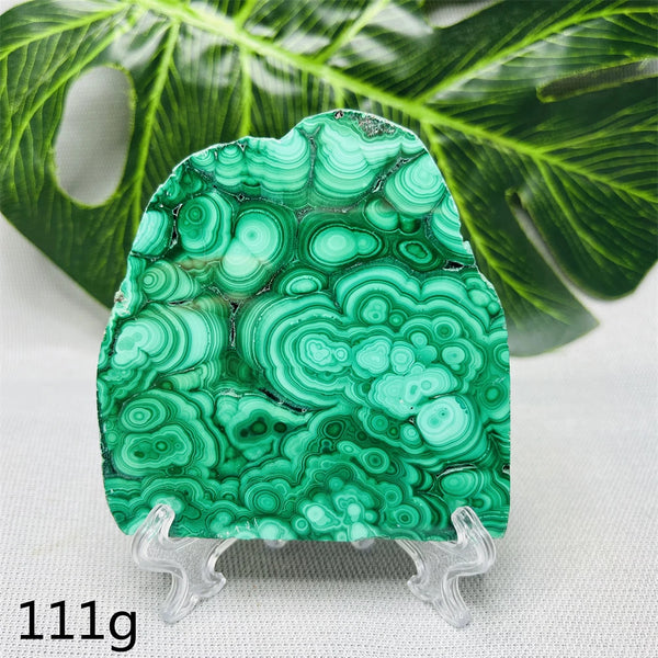 Green Malachite Slice-ToShay.org