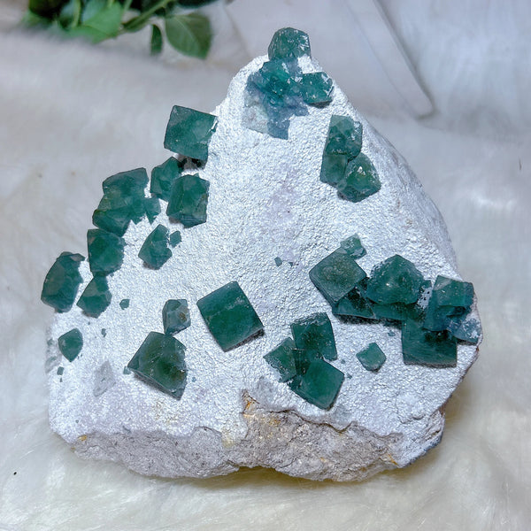 Green Fluorite Crystal-ToShay.org