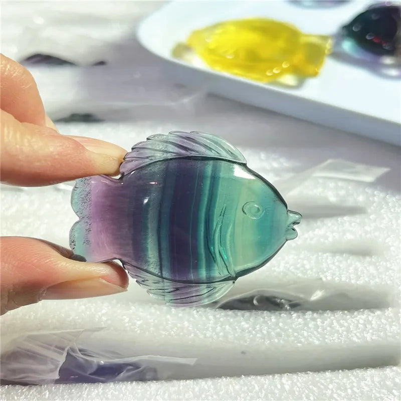Rainbow Fluorite Fish-ToShay.org