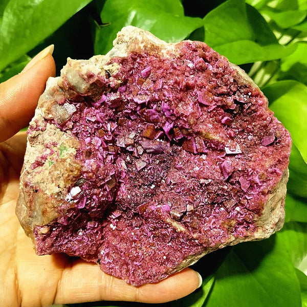 Pink Cobaltocalcite Crystal-ToShay.org