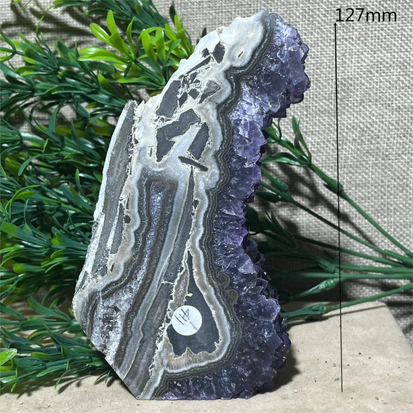 Purple Amethyst Cluster-ToShay.org