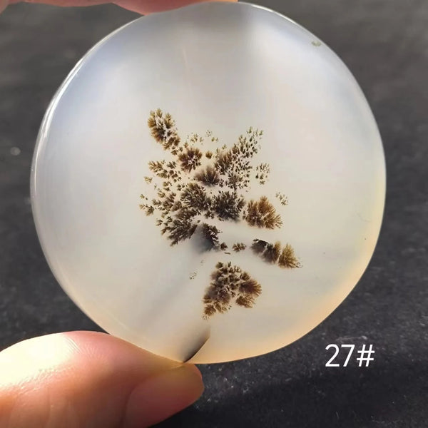 White Onyx Ocean Chalcedony-ToShay.org