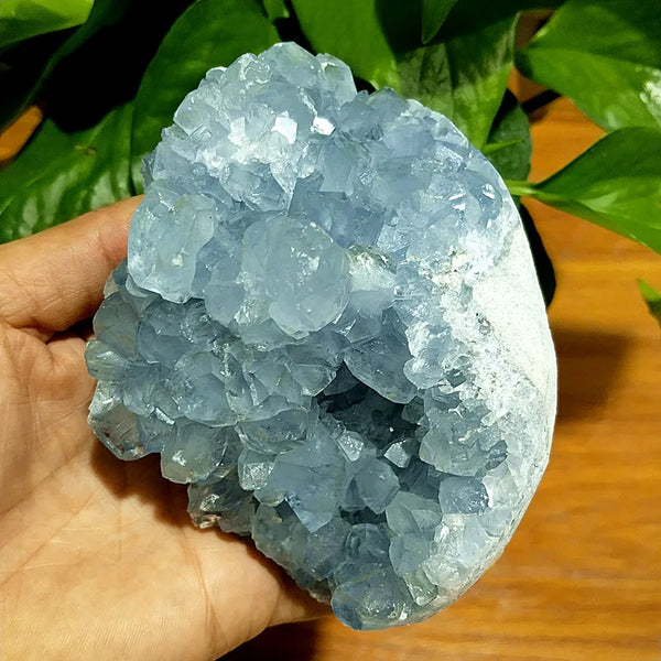 Blue Celestine Geode Crystal-ToShay.org