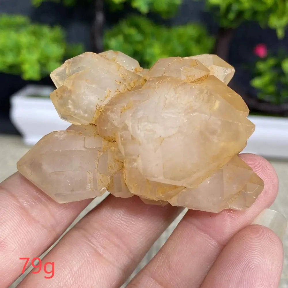 White Quartz Crystal Cluster-ToShay.org