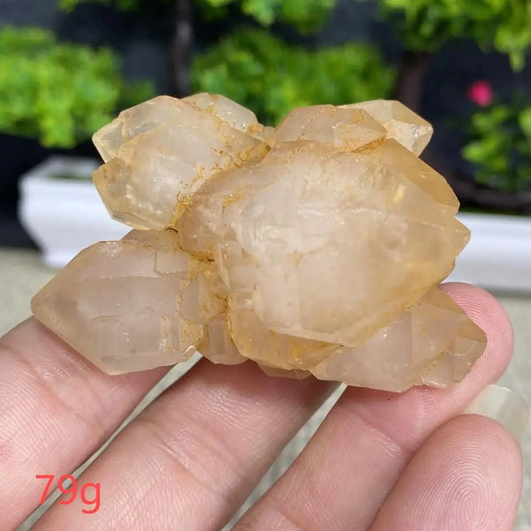 White Quartz Crystal Cluster-ToShay.org