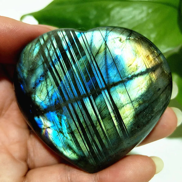 Blue Labrador Stone Heart-ToShay.org