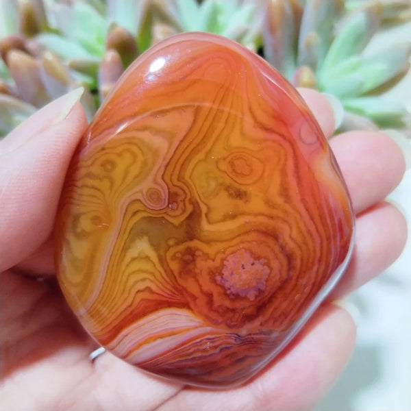 Red Sardonyx Lace Agate-ToShay.org