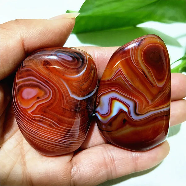 Red Lace Sardonyx Palm Stones-ToShay.org