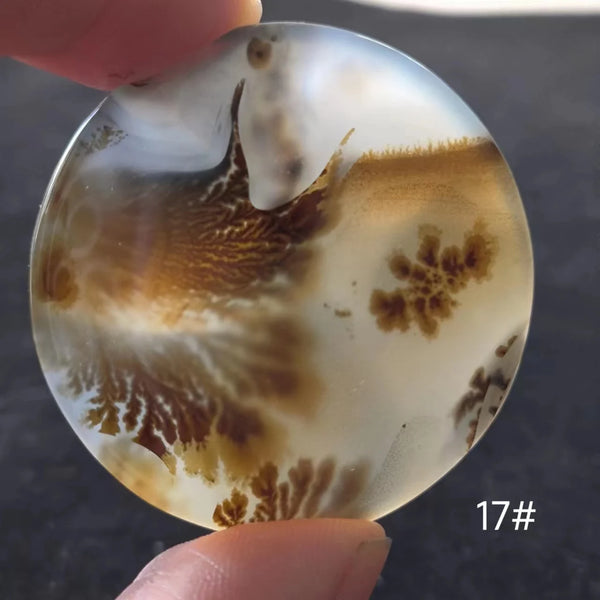 White Onyx Ocean Chalcedony-ToShay.org