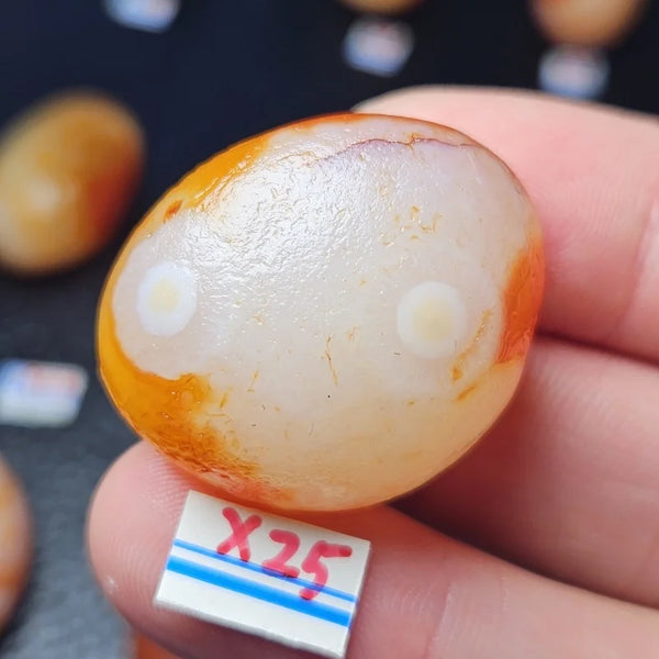 Mixed Gobi Alashan Agate-ToShay.org