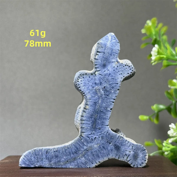 Blue Coral Crystal-ToShay.org