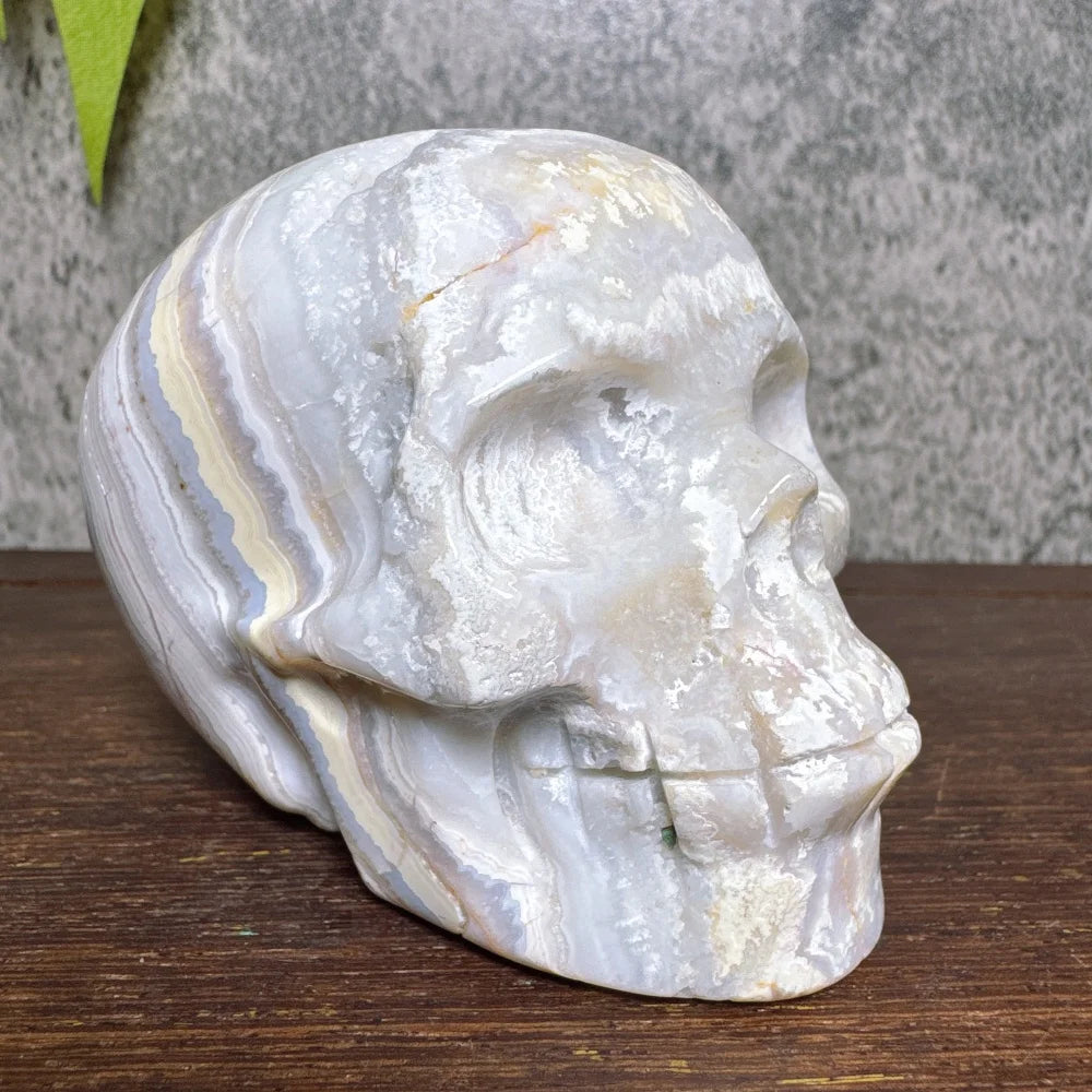Grey Crazy Lace Agate Skull-ToShay.org