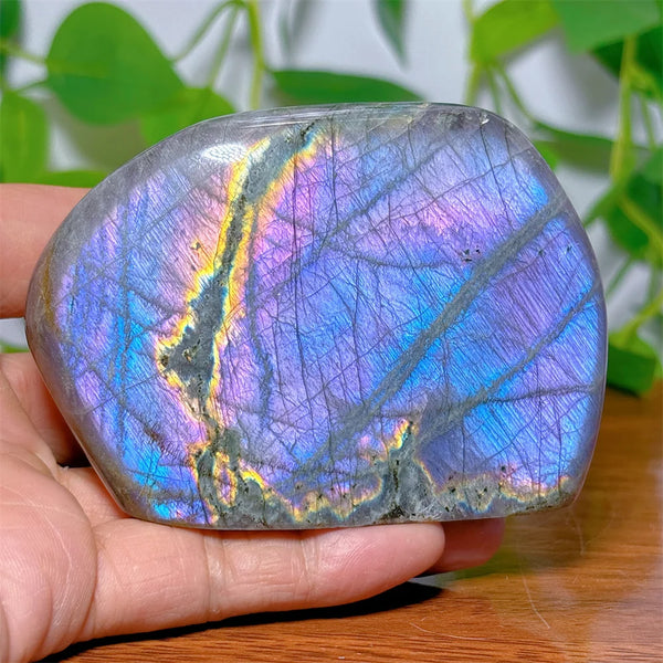 Purple Labradorite Crystal-ToShay.org