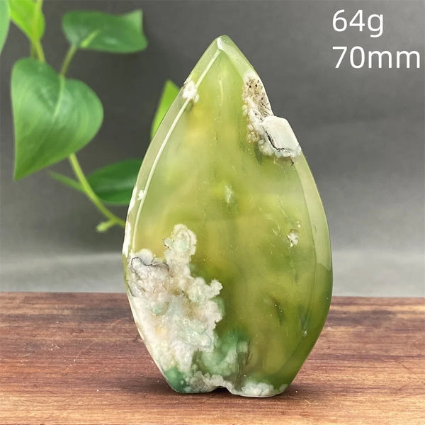 Green Cherry Blossom Agate-ToShay.org