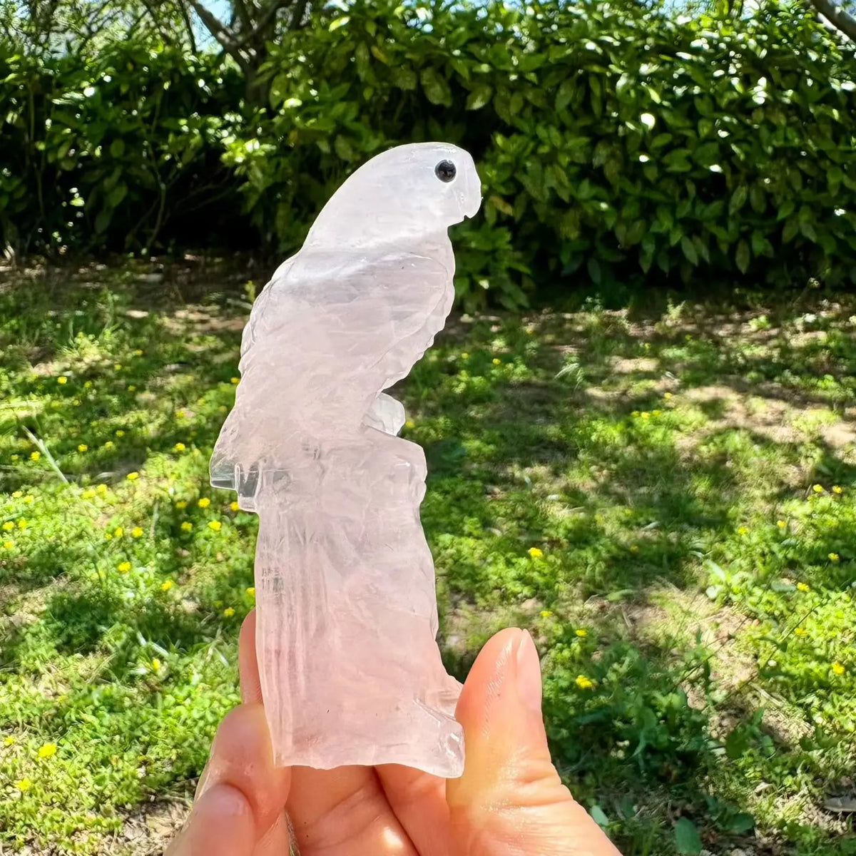 Mixed Quartz Parrots-ToShay.org