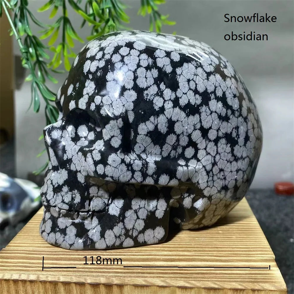 Mixed Crystal Skulls-ToShay.org
