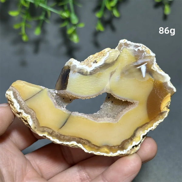Yellow Agate Slice-ToShay.org