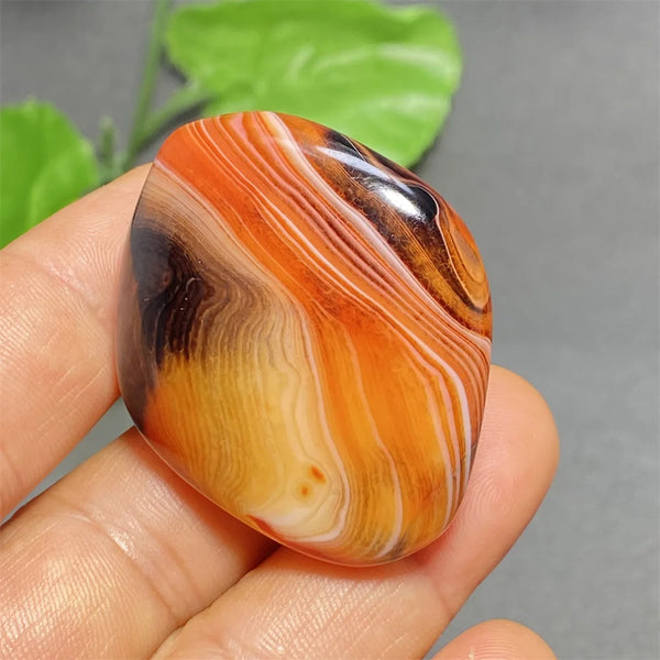Orange Silk Lace Agate-ToShay.org