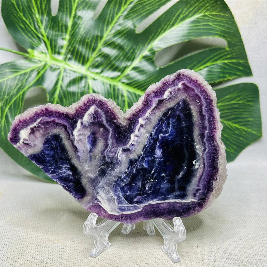 Purple Fluorite Rainbow Slice-ToShay.org