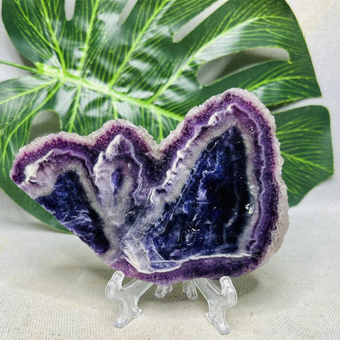 Purple Fluorite Rainbow Slice-ToShay.org