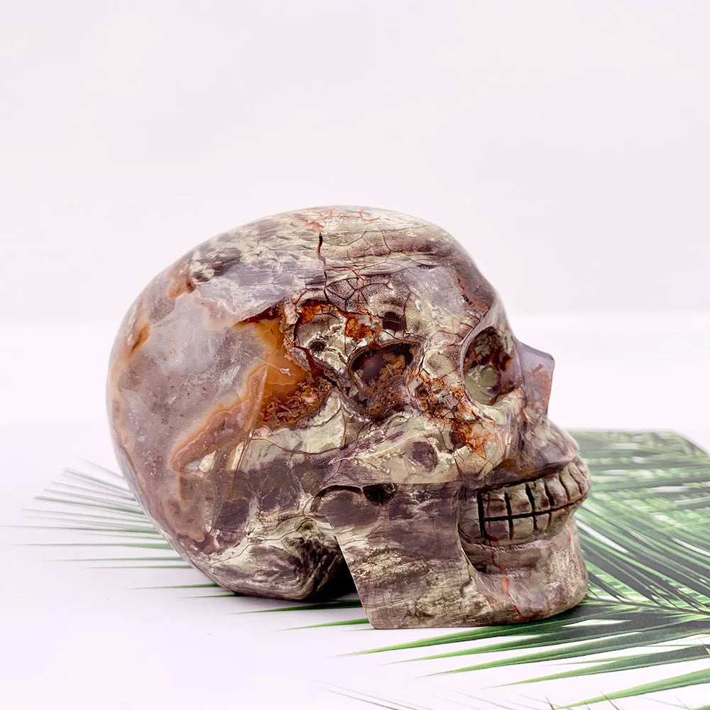 Red Money Agate Skull-ToShay.org