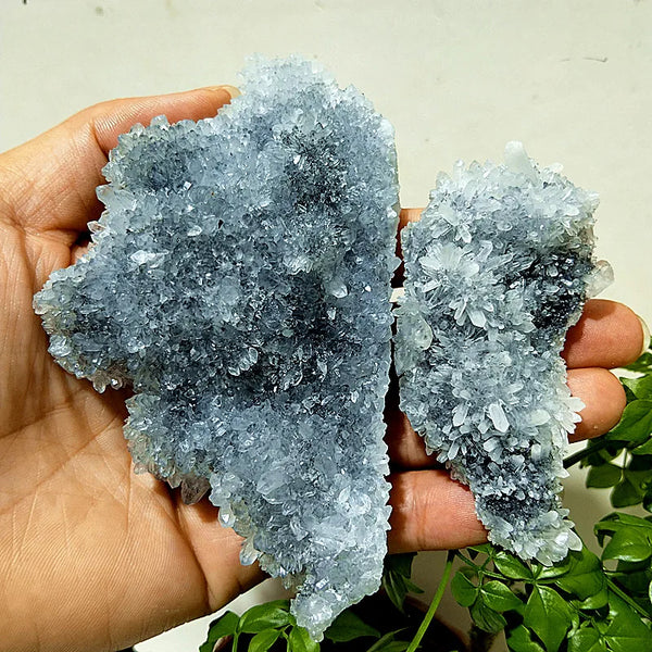 Purple Chrysanthemum Fluorite Crystal-ToShay.org