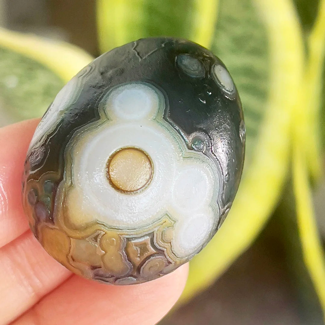 Yellow Green Sardonyx Agate-ToShay.org