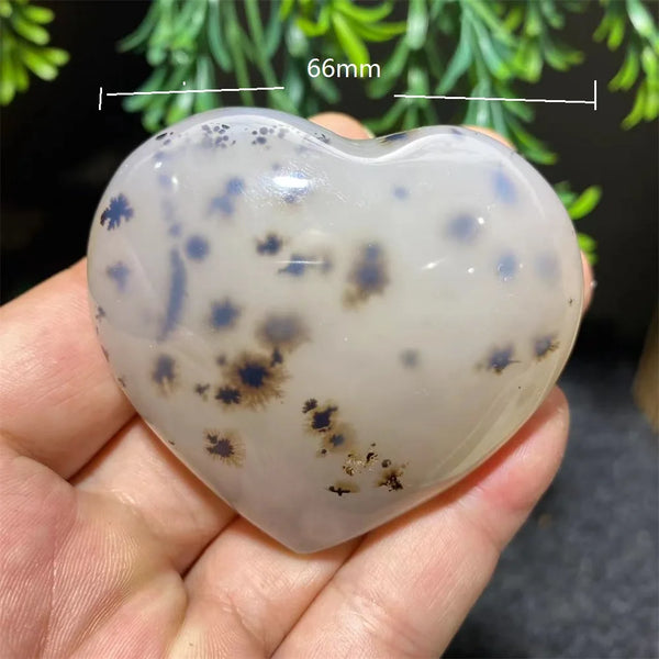 White Ink Moss Tree Agate-ToShay.org