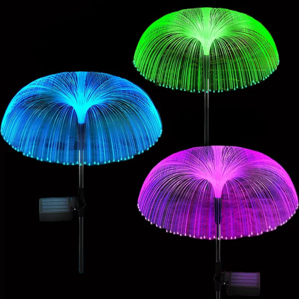 Jellyfish Light-ToShay.org
