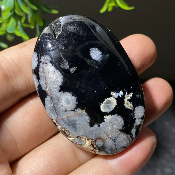 Black Flower Agate-ToShay.org