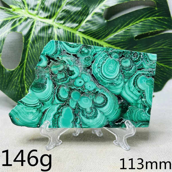 Green Malachite Slice-ToShay.org