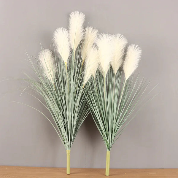 Reed Grass Plants-ToShay.org