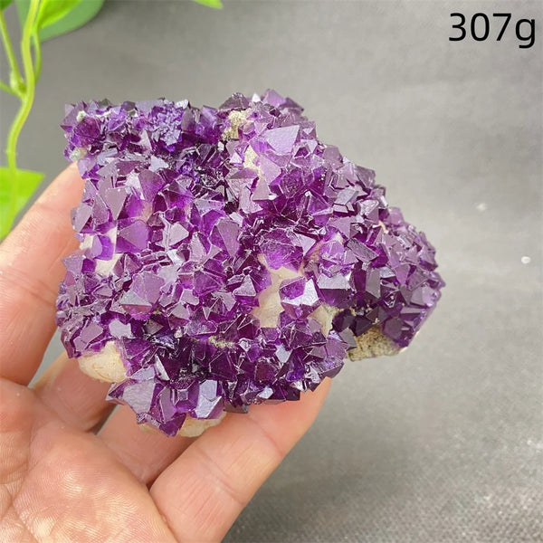 Purple Amethyst Crystal-ToShay.org