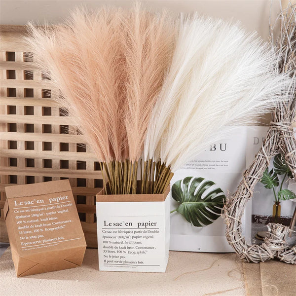 Pampas Grass-ToShay.org