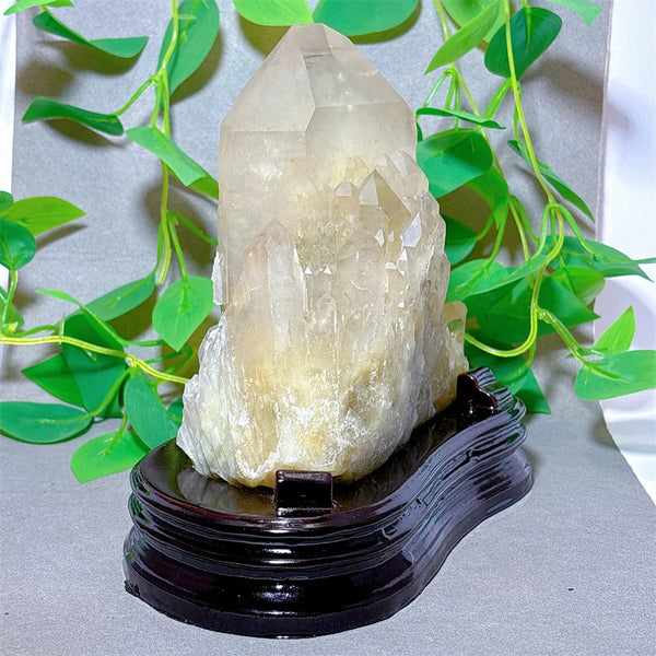 Clear Quartz Citrine Cluster-ToShay.org