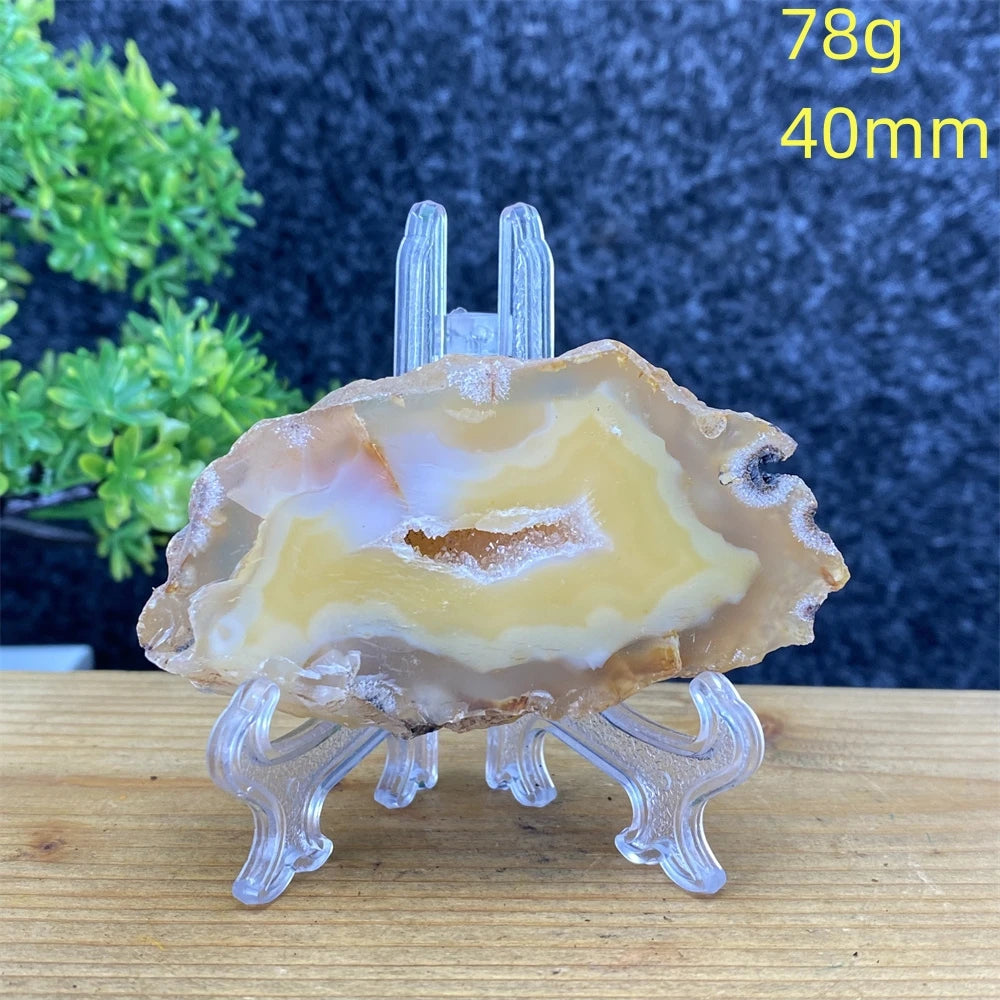 White Agate Geode Slices-ToShay.org